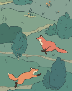 illustration of two foxes running up a grassy hill